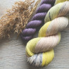Merino Sock - Dandelion Sock Set