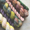 Merino Sock - Hera-sukkasetti