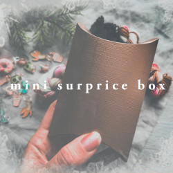 WMOF Mini Surprise Box