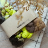 Merino Sock Mini Set - The One With The Yellow