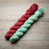 Merino Sock - What A Catch 2x50g