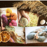 Post Card Set 1