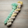 BFL Sock 50g+20g