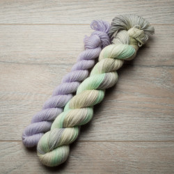 BFL Sock 50g+20g