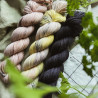 BFL Sock DK
