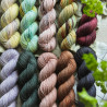 BFL Sock DK