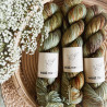 BFL Sock DK