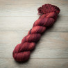 BFL Sock