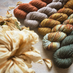 Donegal DK