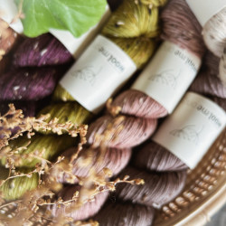 Donegal DK