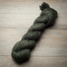 Linne Aran