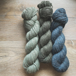 Linne Aran