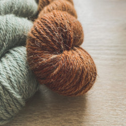Linne Aran