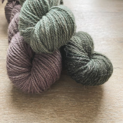 Linne Aran