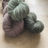 Linne Aran
