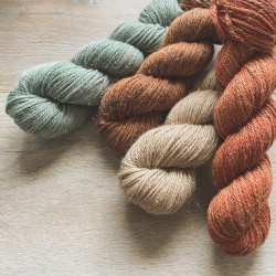 Linne Aran