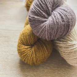 Linne Aran
