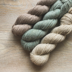 Linne Aran