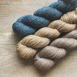 Linne Aran