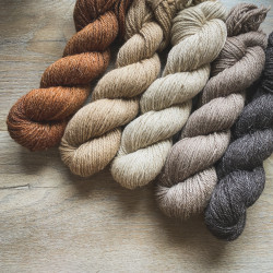 Linne Aran