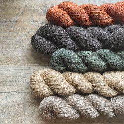 Linne Aran
