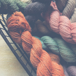 Linne Aran