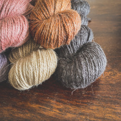 Linne Aran