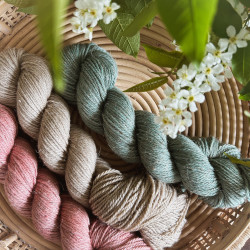 Linne Aran