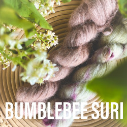 Bumblebee Suri