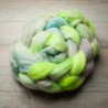 BFL Nylon - Free as a Bird