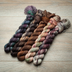 BFL Sock Mini Set - Bookish 1