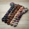 BFL Sock Mini Set - Bookish 1