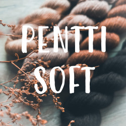 Pentti Soft