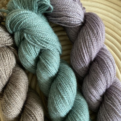 Wilhelmi Soft