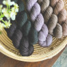 Wilhelmi Soft
