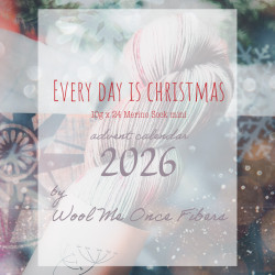 Every Day Is Christmas 2026 Advent Calendar