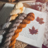 Merino Sock - Ghost Pumpkin Set